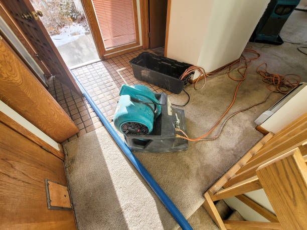 Best Carpet water damage restoration  in Port Neches, TX
