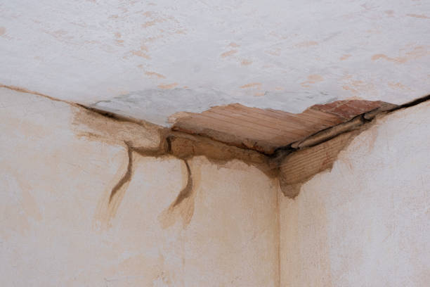 Best Ceiling water damage repair  in Port Neches, TX