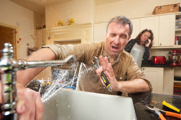 Best Mold removal after water damage  in Port Neches, TX